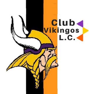 Club Vikingos CC - Asociacion de Futbol del Distrito Capital