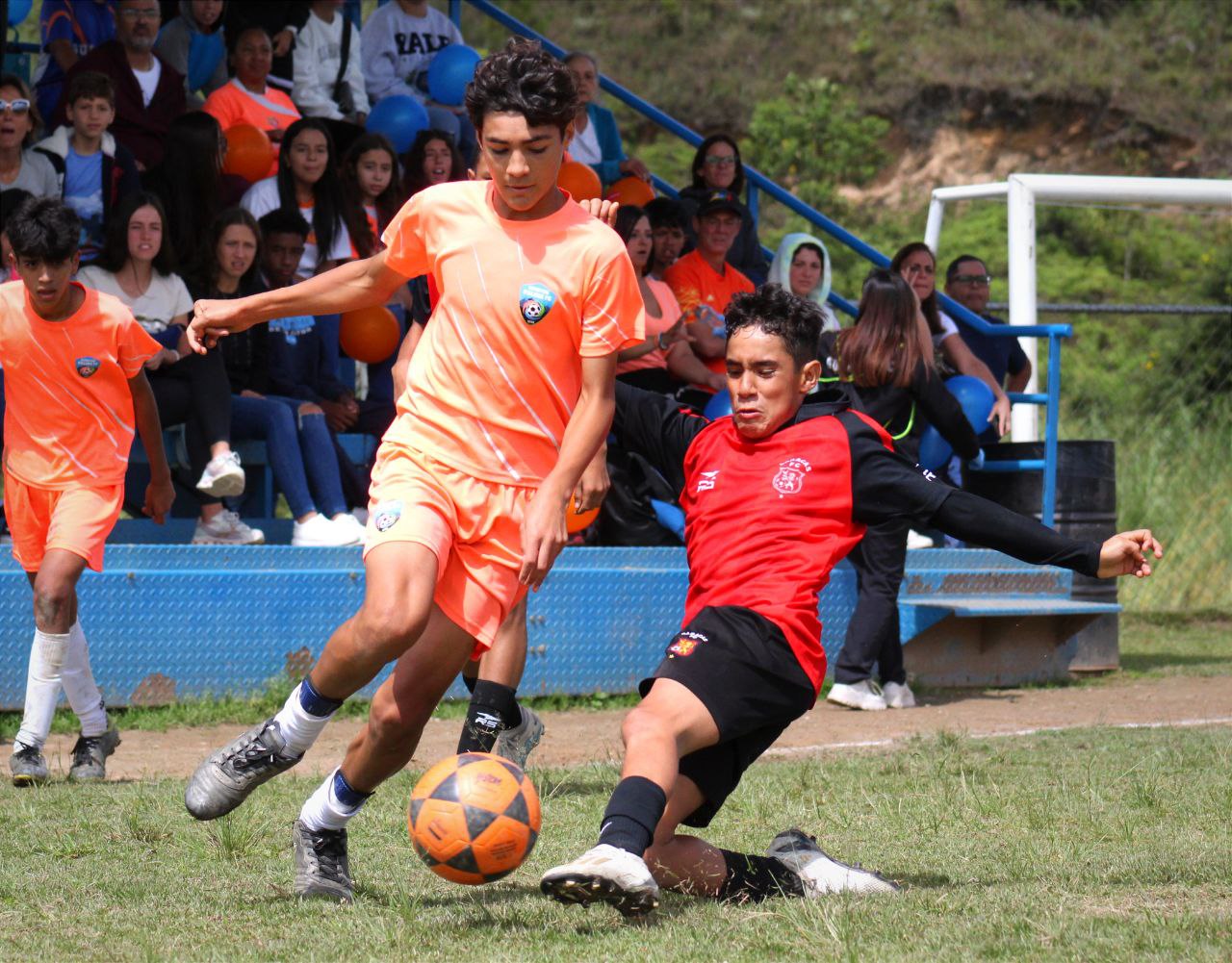 Liga Canguro Diamante cierra la ida de la semifinales