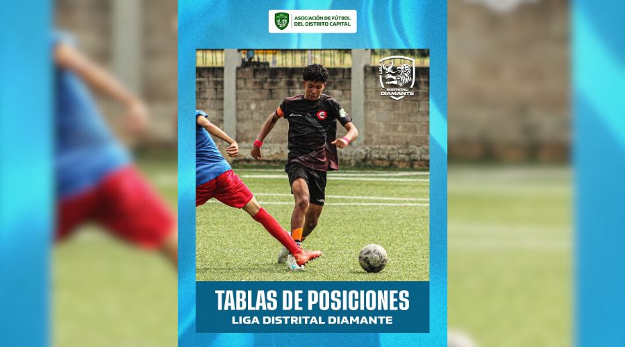 Tabla de posiciones – Liga Distrital Diamante