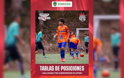 Tabla de posiciones – Liga Diablitos Underwood Platino