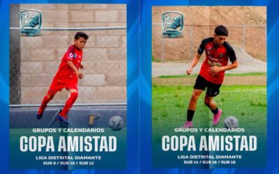 Grupos y Calendarios – Copa Amistad (Liga Distrital Diamante)