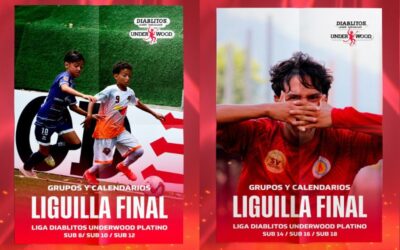 Grupos y Calendarios – Liguilla (Liga Diablitos Underwood Platino)