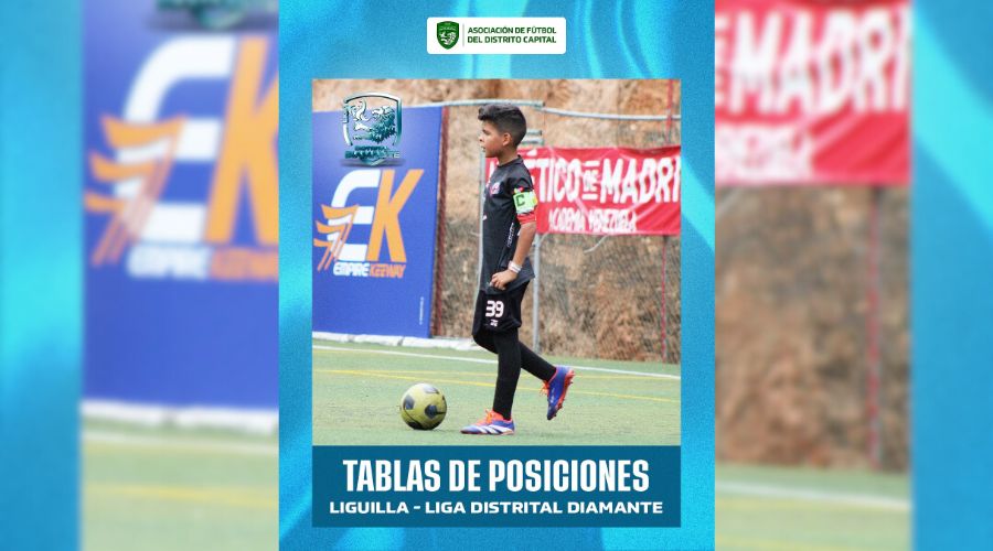 Tablas de Posiciones – Liguilla (Liga Distrital Diamante)