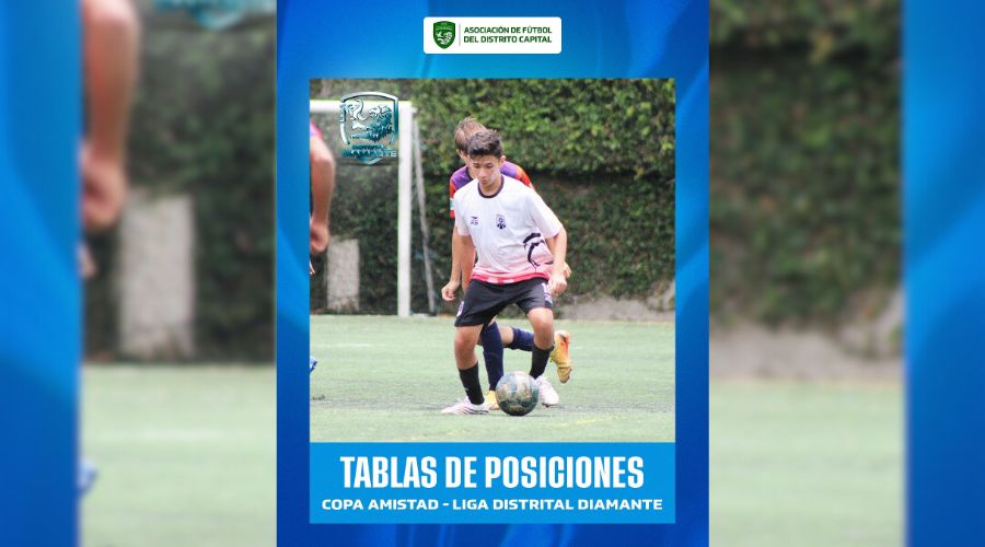 Tablas de posiciones – Copa Amistad (Liga Distrital Diamante)