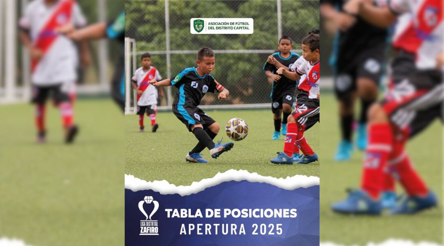 Tablas de posiciones – Liga Distrital Zafiro