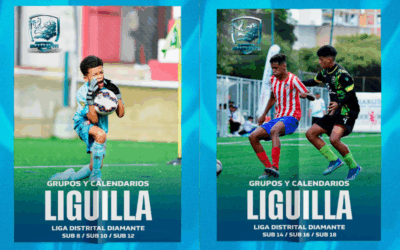 Grupos y Calendarios – Liguilla (Liga Distrital Diamante)