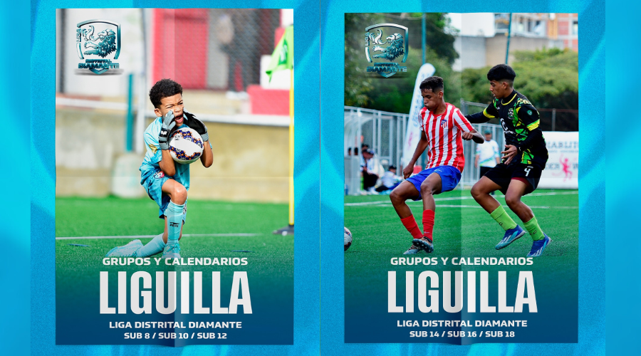 Grupos y Calendarios – Liguilla (Liga Distrital Diamante)