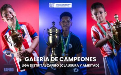 Galería de campeones – Liga Distrital Zafiro