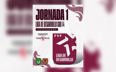 Liga de Desarrollo Sub 14 de Fútbol Masculino inicia en Distrito Capital