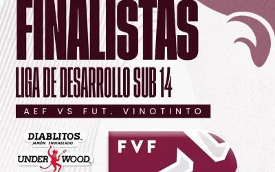Liga de Desarrollo Sub 14 tiene como finalistas a AEF y Futuros Vinotinto