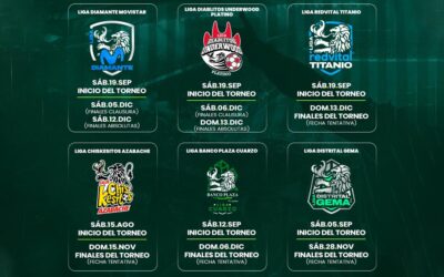 El balón vuelve a rodar en Distrito Capital
