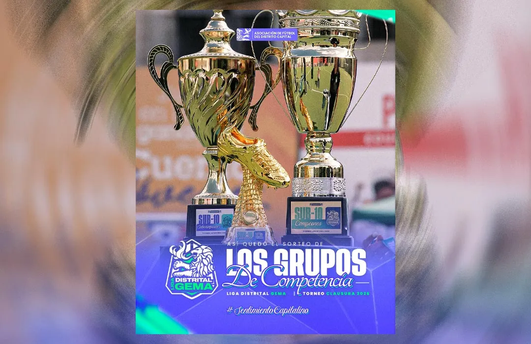 Liga Distrital Gema